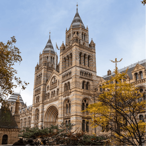 Explore South Kensington's many museums – the Natural History Museum is an eight-minute walk away