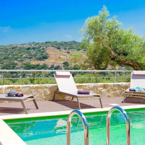 Take in the views of olive groves stretching into the distance