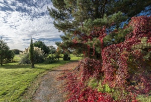 Countryside Calling image 3