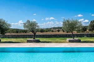 Vineyard Breeze image 10