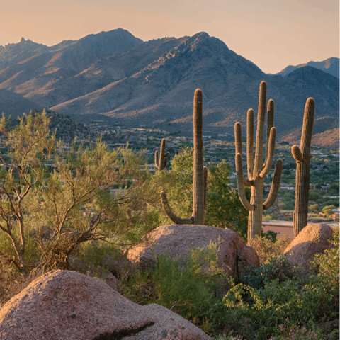 Embark on picturesque hiking, biking, and running trails at Scottsdale Greenebelt