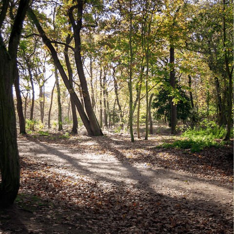 Stay a twelve-minute walk from the massive green park of Bois de Boulogne