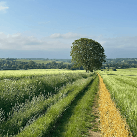 Put on your hiking boots and head into the Cotswolds 