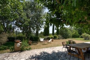 Plane Trees at Lambesc image 11