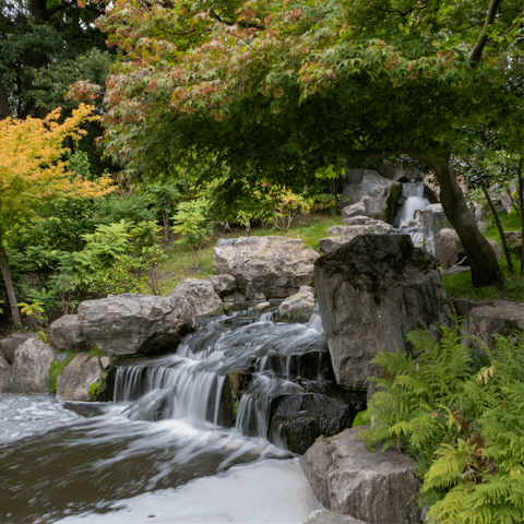 Stroll over to Holland Park and enjoy a moment of peace in nature