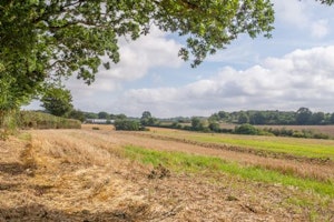 Country Coach House image 8