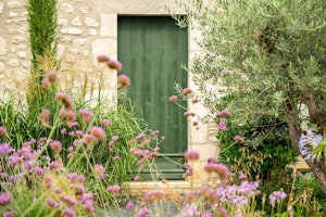 Olive Acres Vista image 15