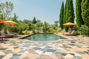 Olive Acres Vista image 8
