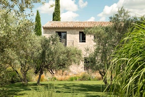 Olive Acres Vista image 5