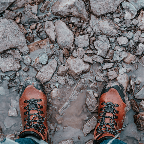 Lace up your walking boots and hike through the stunning Swiss Alps