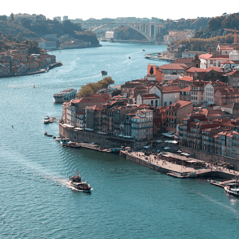 Gaze out to city views from the Jardim do Morro, 2 kilometres away