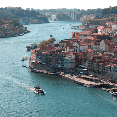 Gaze out to city views from the Jardim do Morro,  2 kilometres away