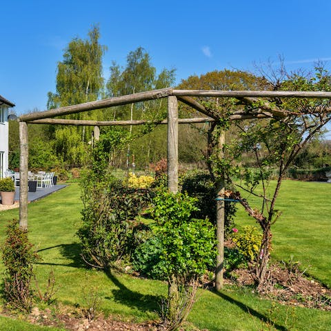 Make the most of the sunshine in the wraparound gardens