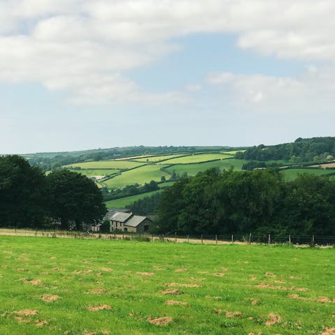 Immerse yourself in the beautiful Devon countryside, home to historic forts., market towns and spectacular scenery