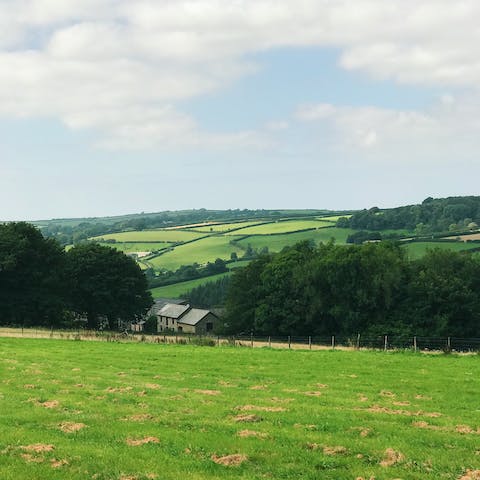 Immerse yourself in the beautiful Devon countryside, home to historic forts., market towns and spectacular scenery