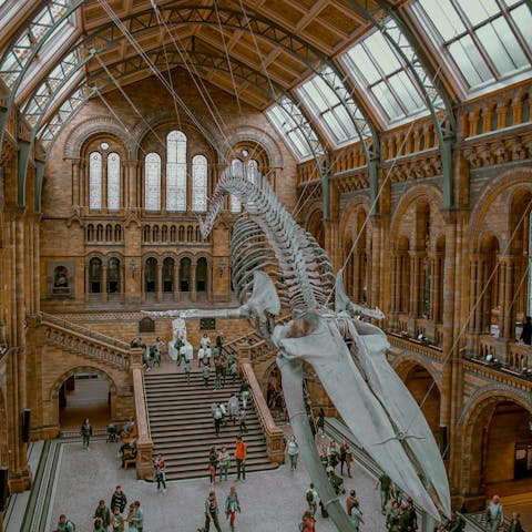 Take a trip to the Natural History Museum, a must-visit in London