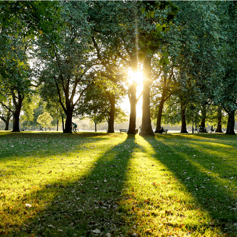 Soak up the lush greenery of nearby Hyde Park