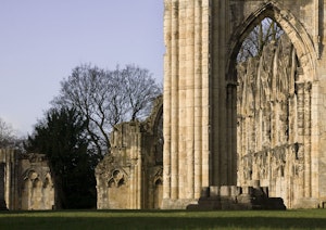 York Rover image 14