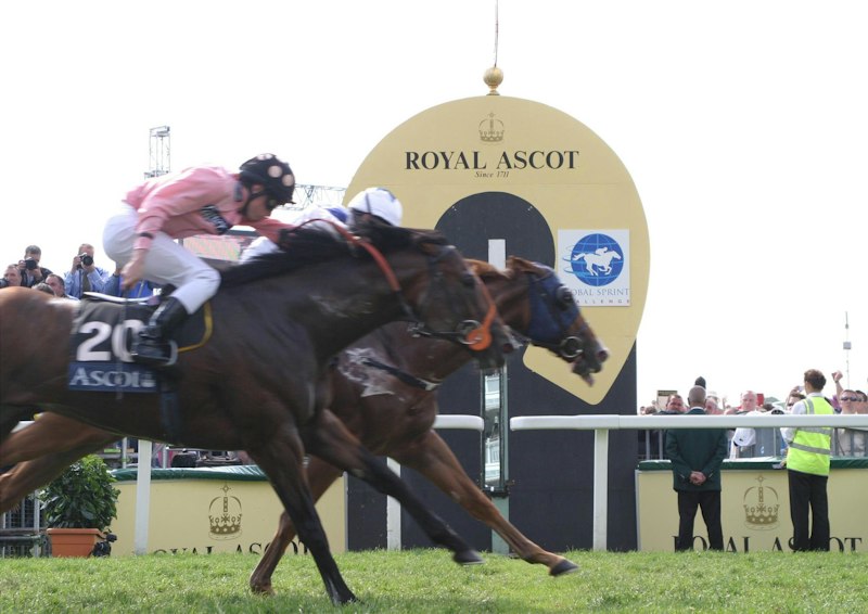 York Rover additional image