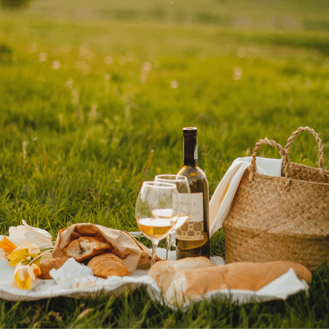 Keep it simple and enjoy a picnic on the pretty mountain meadows