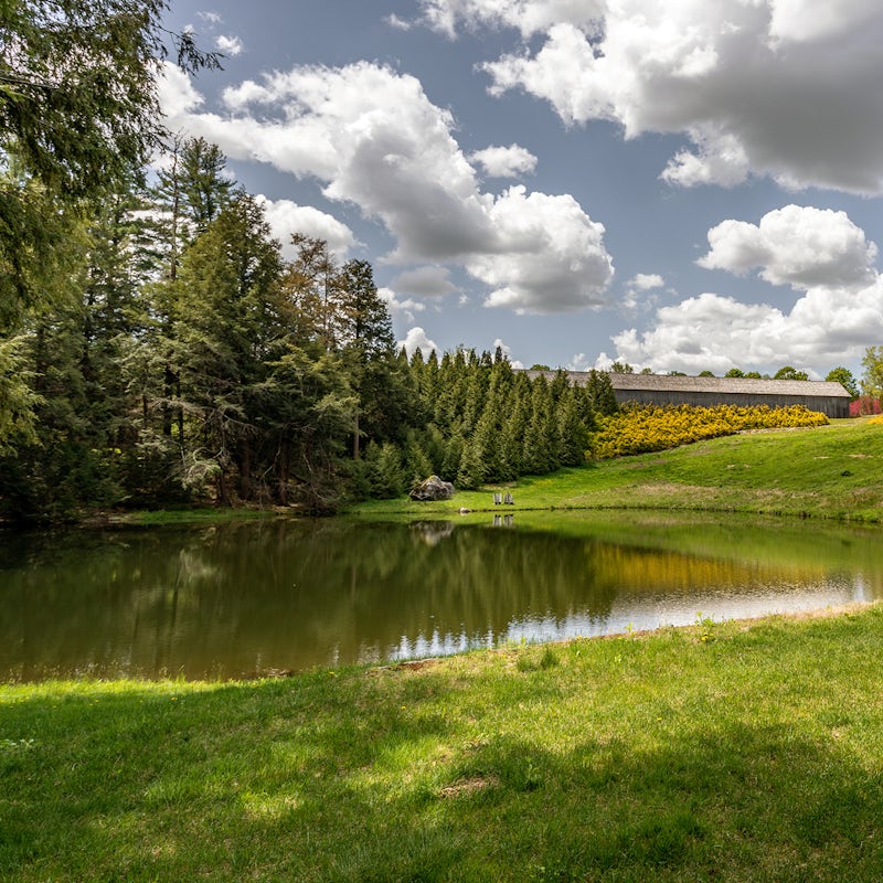 Experience the rejuvenating spirit of this landscape with long walks and wild swimming
