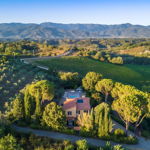 Explore the olive groves and vineyards that surround this countryside home