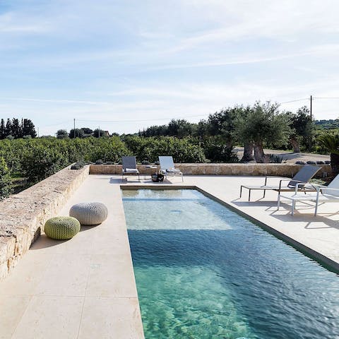 Go for a swim surrounded by fruit and olive trees