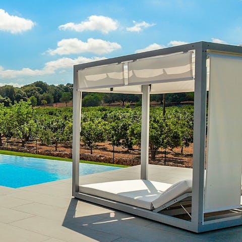 Lounge on the poolside day bed overlooking the vines 