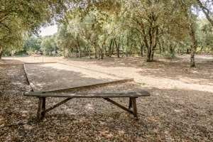 Treetop Provence image 14