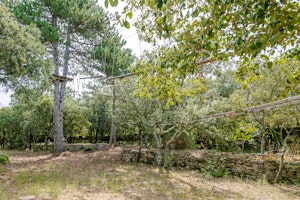 Treetop Provence image 12