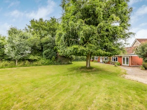 Lovely Lavant image 7