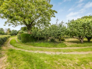 Lovely Lavant image 3