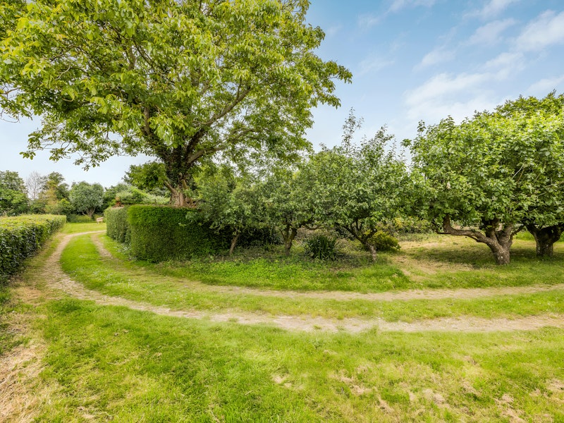 Lovely Lavant additional image
