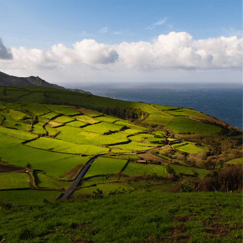 Explore the dramatic landscape of Pico Island