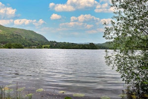 Grasmere Glow image 10