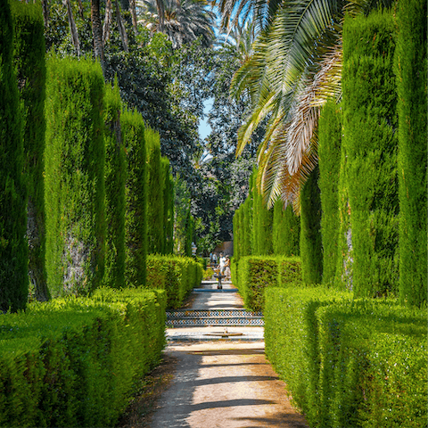Take a turn around the magnificent gardens of Royal Alcázar of Seville, within walking distance of the home