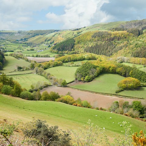 Fall in love with the rolling countryside on the edge of the Elan Valley