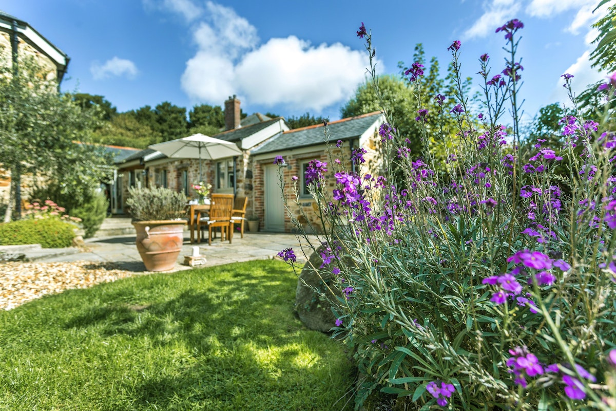 Amid The Orchards, South West England