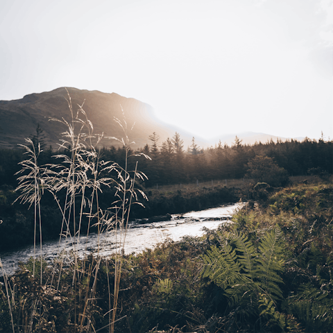 Feel invigorated after bracing walks in the stunning Scottish countryside