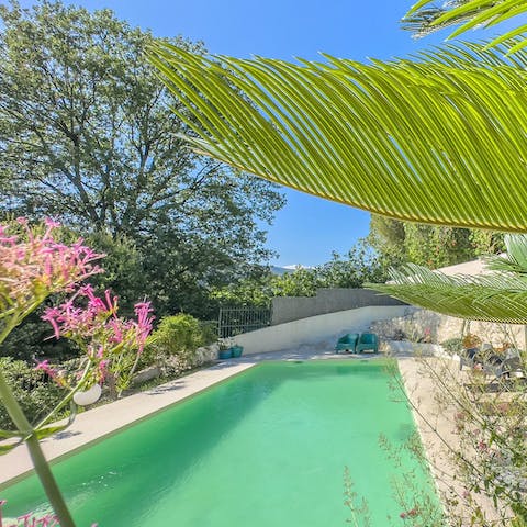 Swim in the private pool of this leafy oasis