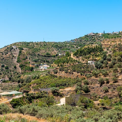 Immerse yourself in Torrox's natural beauty as you spectate the stunning scenery surrounding you