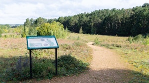 Halcyon Hideaway image 13