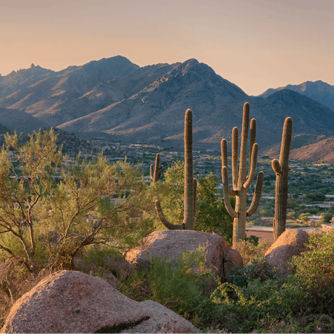 Explore the sublime landscapes and parks of Scottsdale
