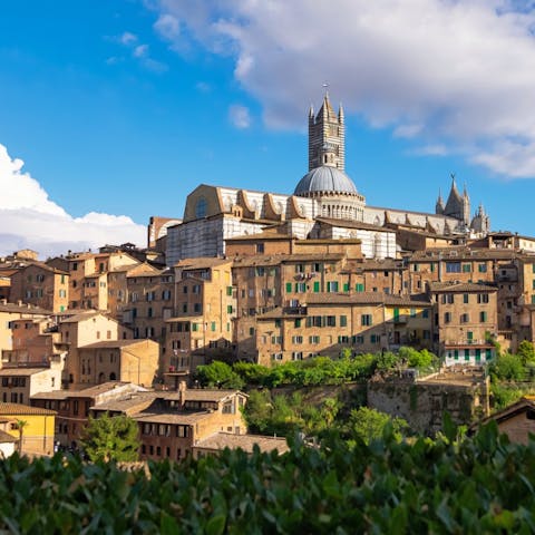 Enjoy a day trip to the beautiful Tuscan city of Siena, just thirty-seven minutes away by car