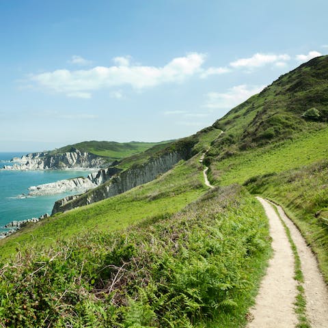 Get out and hike the Devon Coast path, or the seaside resorts of Paignton and Torquay are just half an hour away