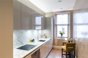 Belgravia Muse image 9