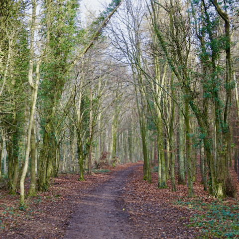 Take a ten-minute drive to Stroud for some woodland walks