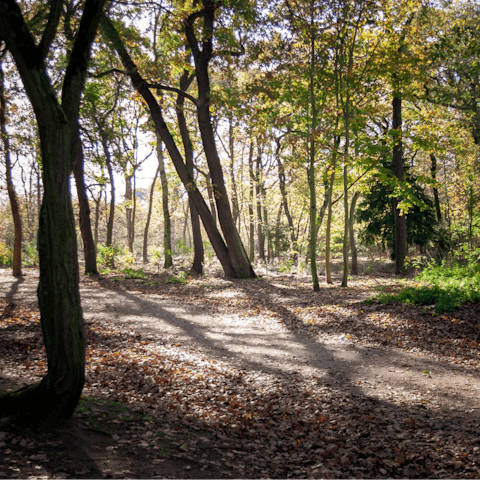 Explore the forest walks and green expanses of Bois de Boulogne, a short walk away