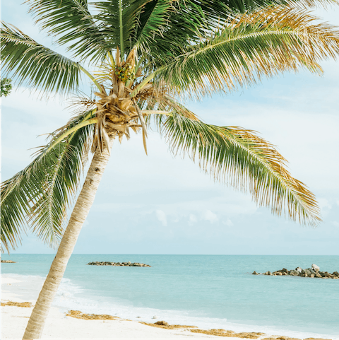 Stroll ten minutes down to Higgs Beach for its soft sands