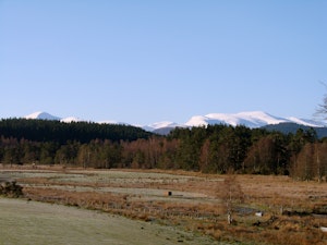 The Highland Wonder image 4